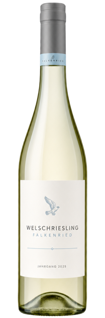 Welschriesling Falkenried 2025 vom Weingut Falkenried